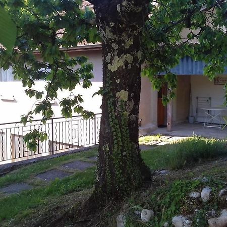 Cote Jardin Appartement Saint-Jean-en-Royans Buitenkant foto